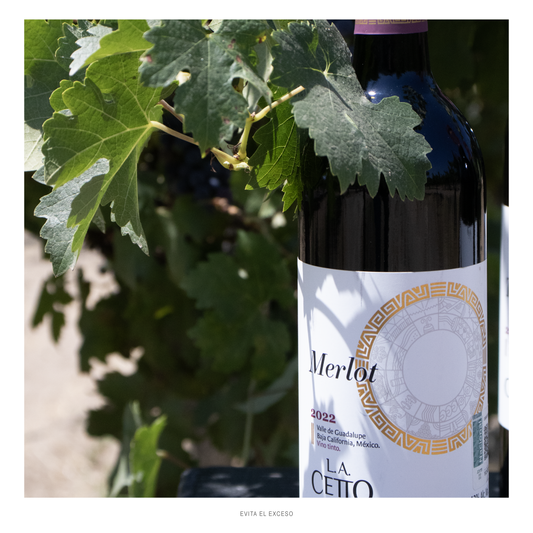 Merlot L.A. Cetto