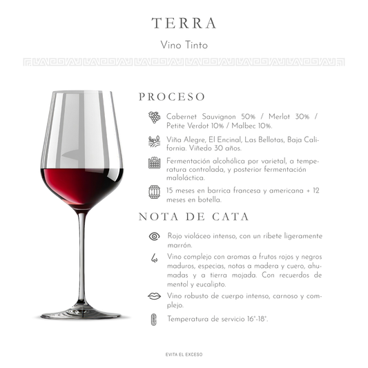 Terra Don Luis 375 ml