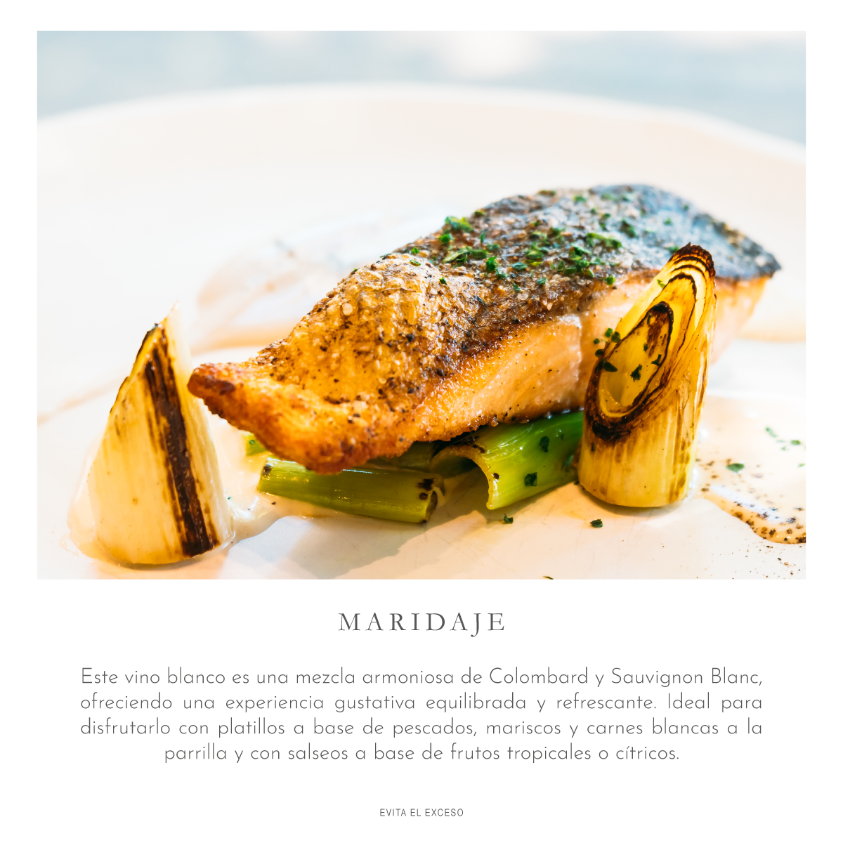 Verano Ensamble Blanco