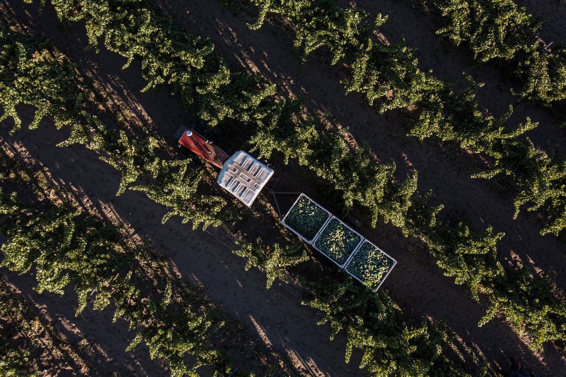 "Agricultores de Corazón"