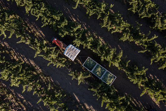 "Agricultores de Corazón"