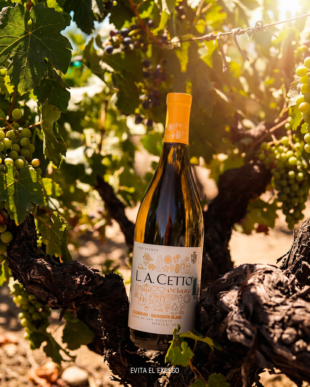 Tu vino sabe diferente en verano. Esto es lo que pasa