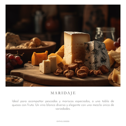 Ensamble Blanco Boutique