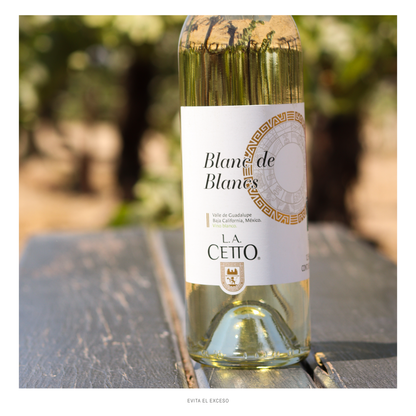 Blanc de Blancs L.A. Cetto