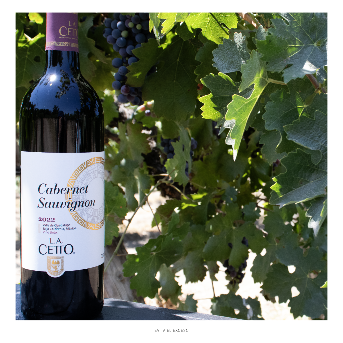 Cabernet Sauvignon L.A. Cetto