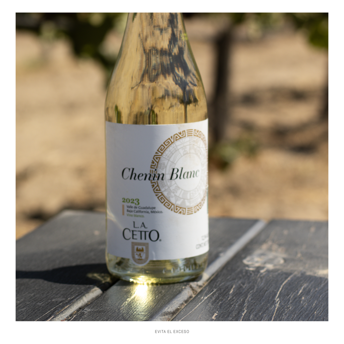 Chenin Blanc L.A. Cetto