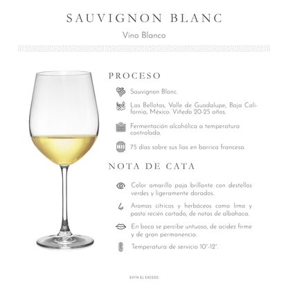 Sauvignon Blanc Sierra Blanca