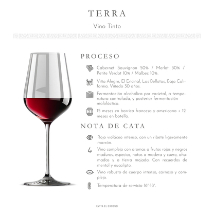 Terra Don Luis 375 ml