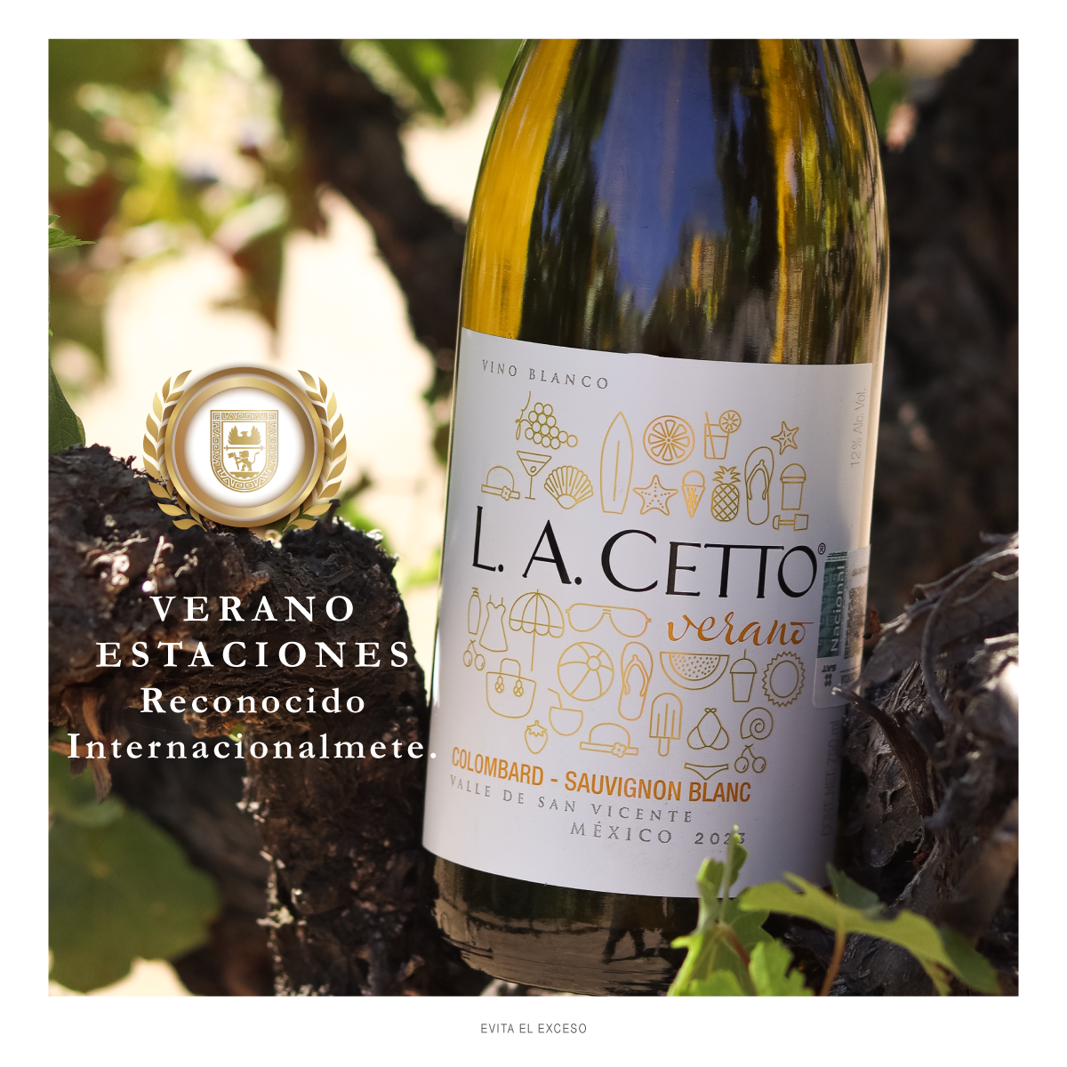 Verano Ensamble Blanco